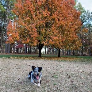 Meet your Posher, Joanna